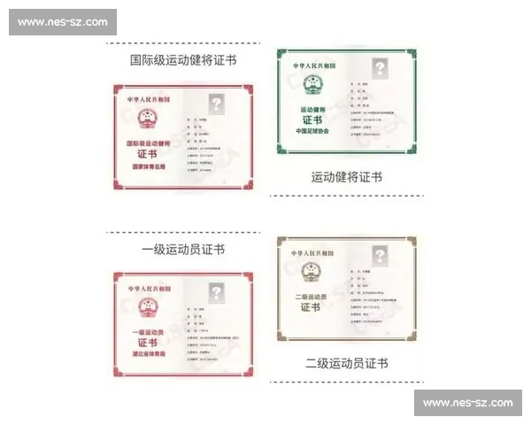 基于体育竞技表现的运动员综合能力评价与分析研究