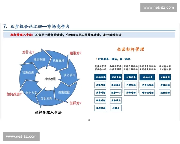 体育团队建设与持续发展策略研究探索与实践