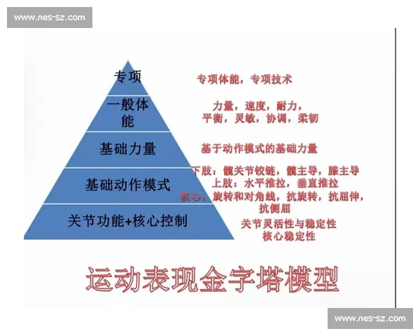 基于体育科学实践提升运动表现与健康管理研究